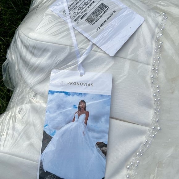 Pronovias Ivory Gown with Beaded Accents - Picture 1 of 2
